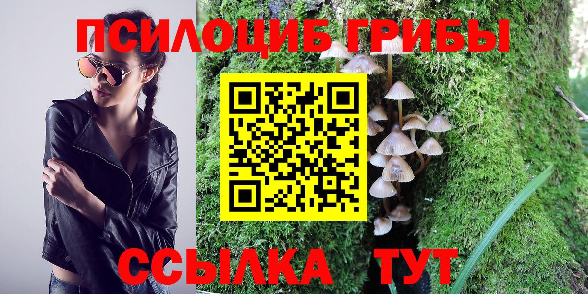 Псилоцибиновые грибы GOLDEN TEACHER Аргун