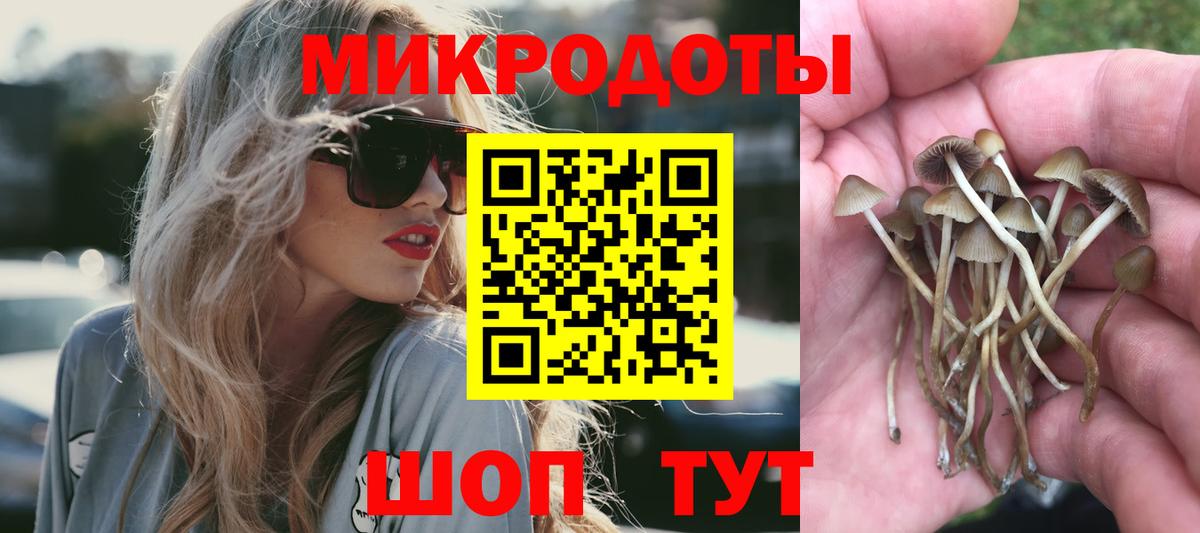 Аргун  Галлюциногенные грибы ЛСД  Вход с VPN  Галлюциногенные грибы Magic Shrooms 